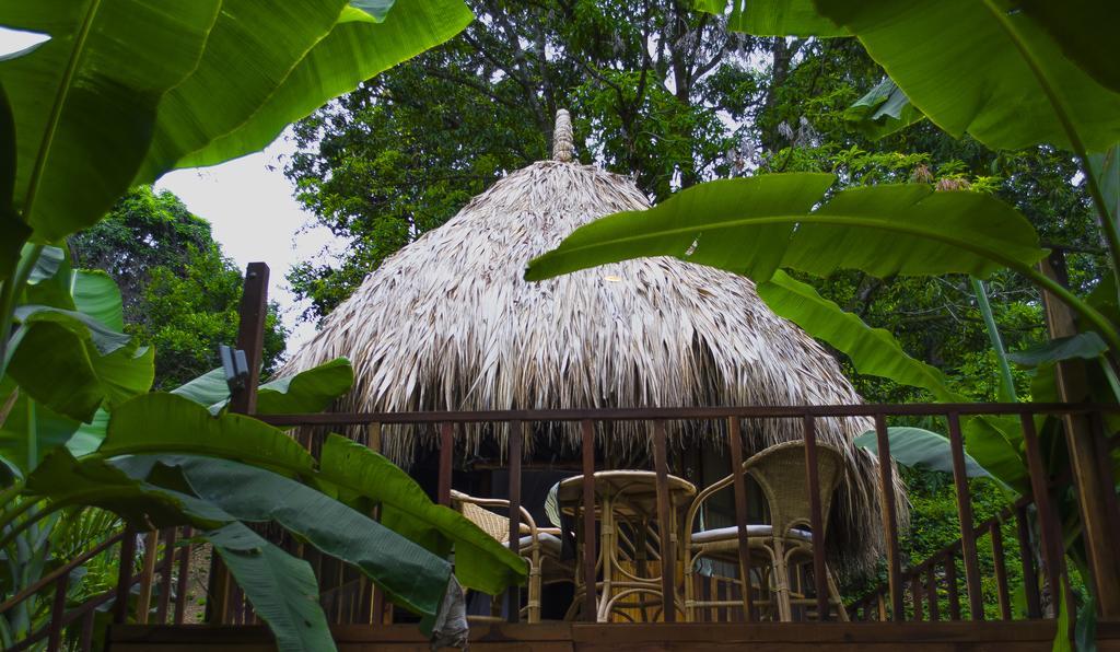 فيلا Tayrona Paradise الزينو المظهر الخارجي الصورة