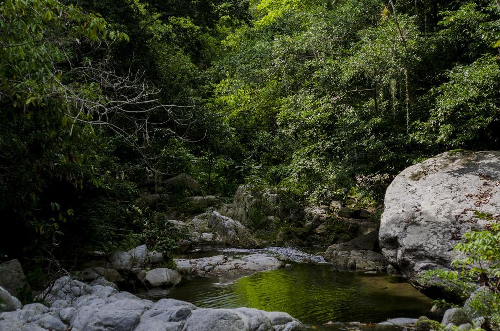فيلا Tayrona Paradise الزينو المظهر الخارجي الصورة