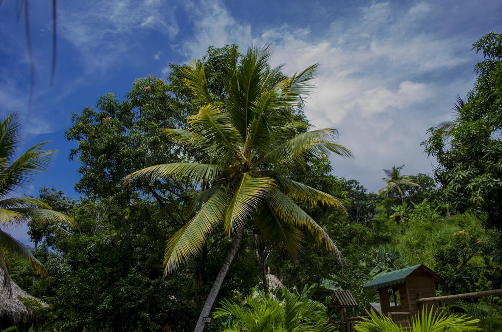 فيلا Tayrona Paradise الزينو المظهر الخارجي الصورة